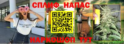 дживик Дубна