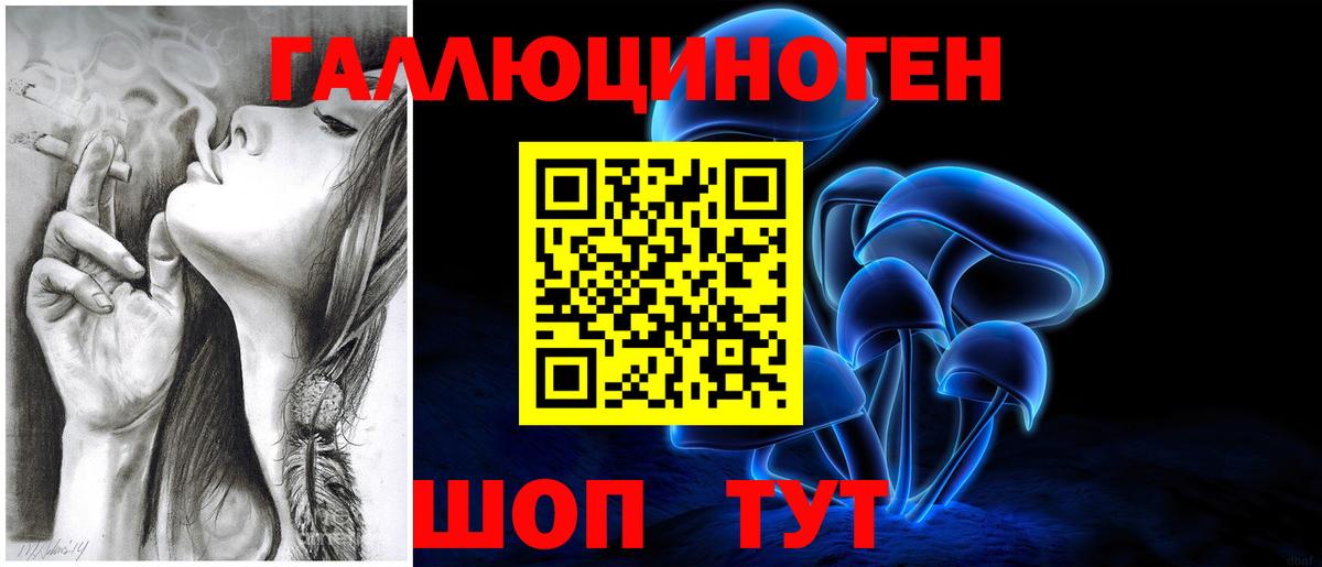 Галлюциногенные грибы Cubensis Нижний Новгород