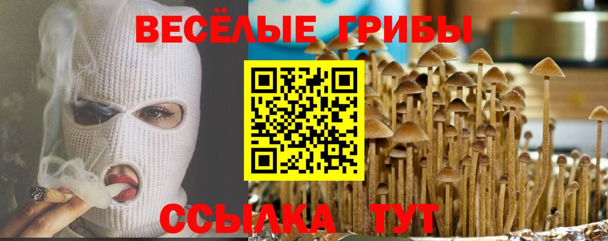 Нижний Новгород  Галлюциногенные грибы Psilocybe  Вход с VPN  Псилоцибиновые грибы GOLDEN TEACHER 